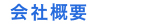 ЊTv